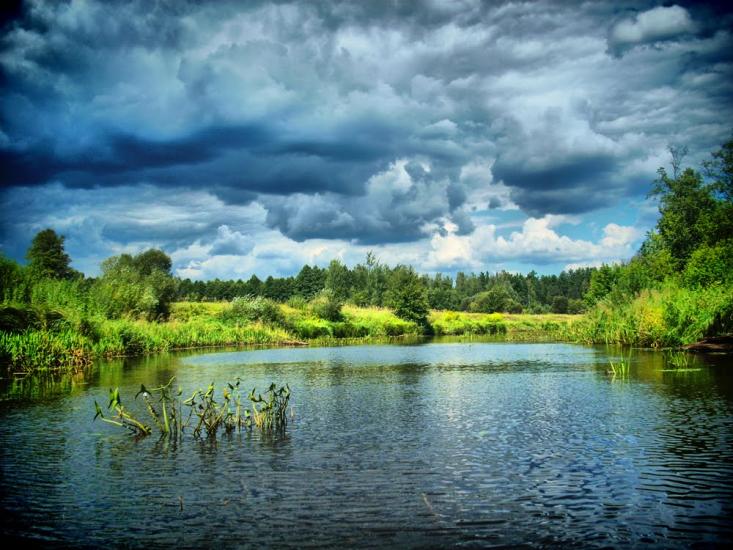 Олевськ з panoramio.com - Олевск