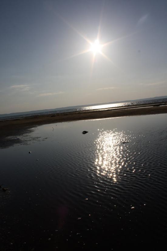 Хоцьки з panoramio.com - Хоцки