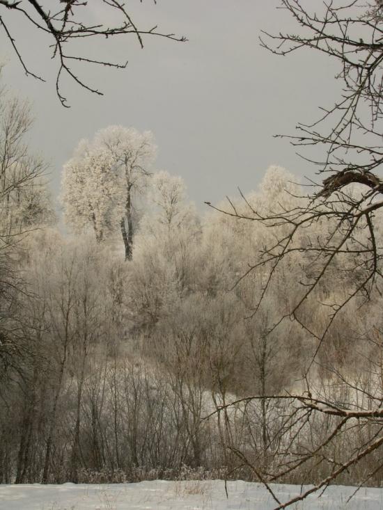 Острожець з panoramio.com - Острожець