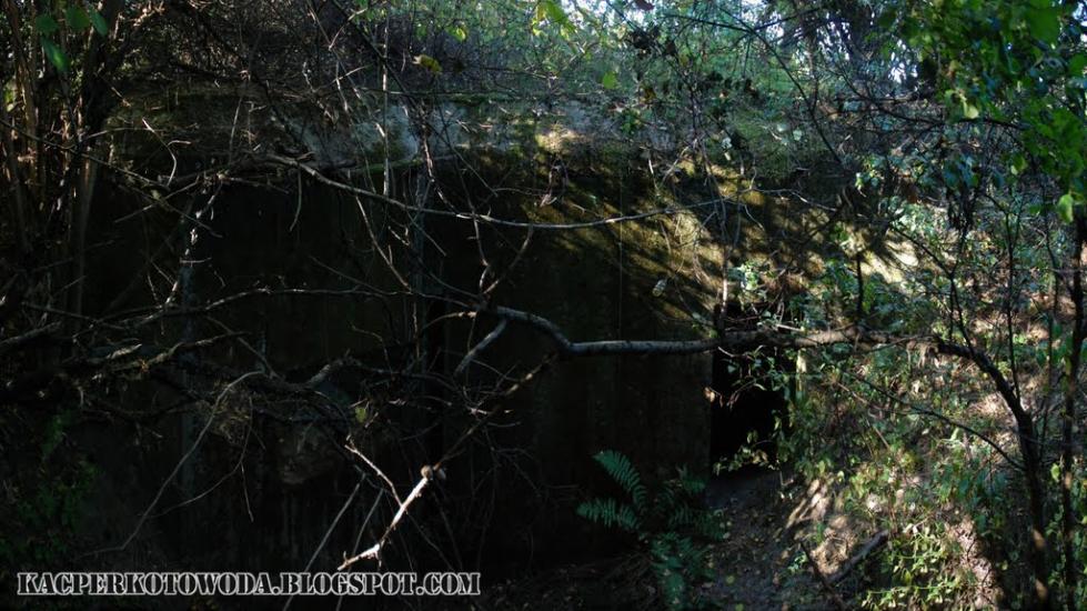 Дев'ятир з panoramio.com - Девятир