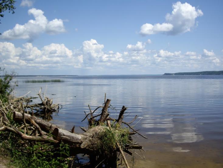 Стовп'яги з panoramio.com - Стовп'яги