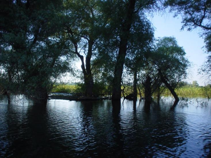 Дунайське з panoramio.com (ч.2) - Дунайське