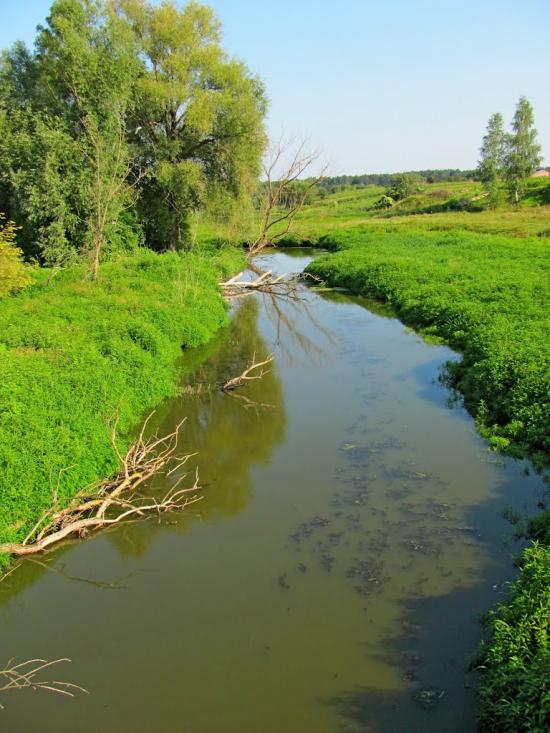 Кустин з panoramio.com - Кустин