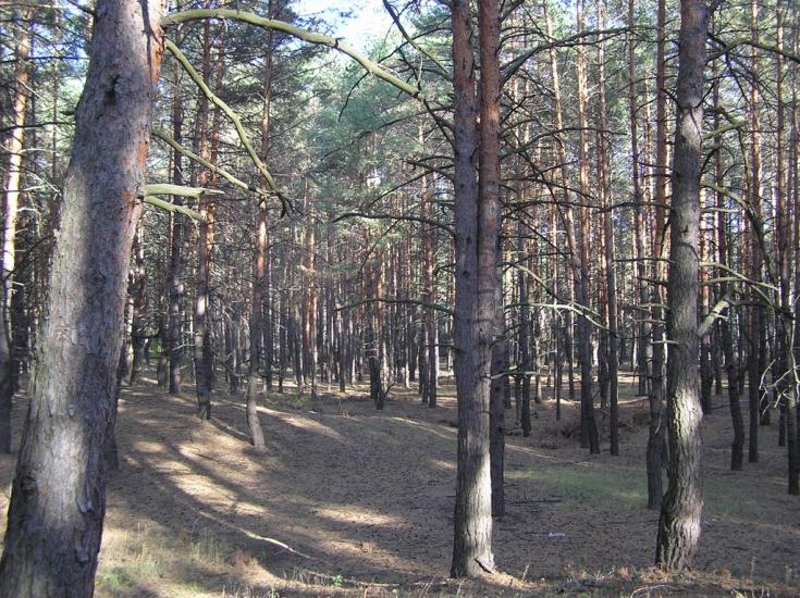 Проців з panoramio.com - Protsiv