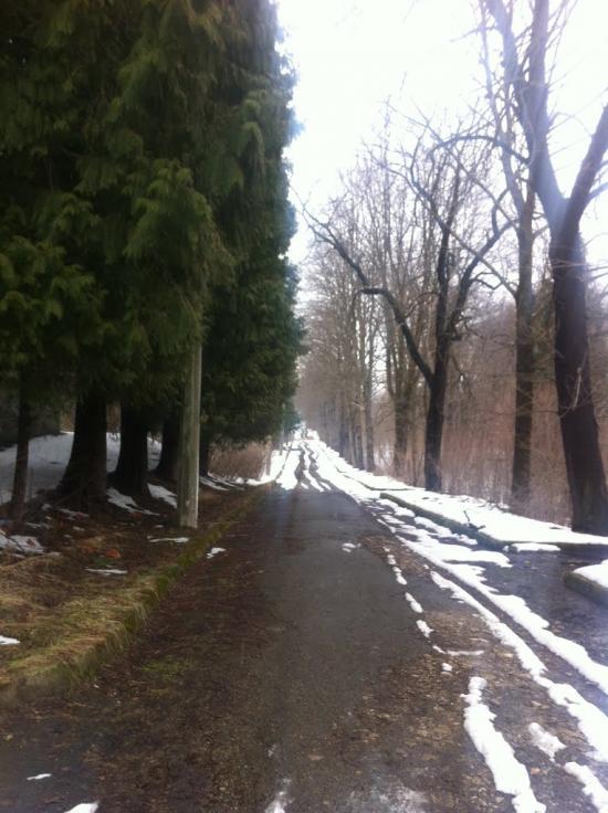 Добромиль з panoramio.com - Dobromyl
