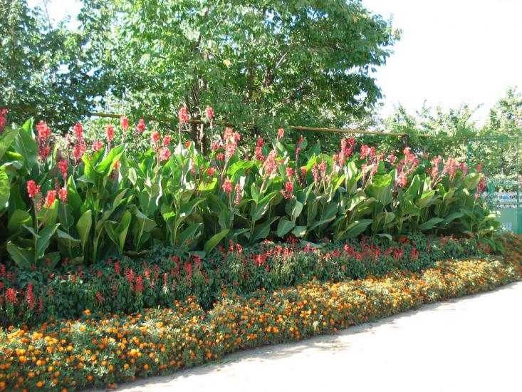 Біляївка з panoramio.com - Беляевка