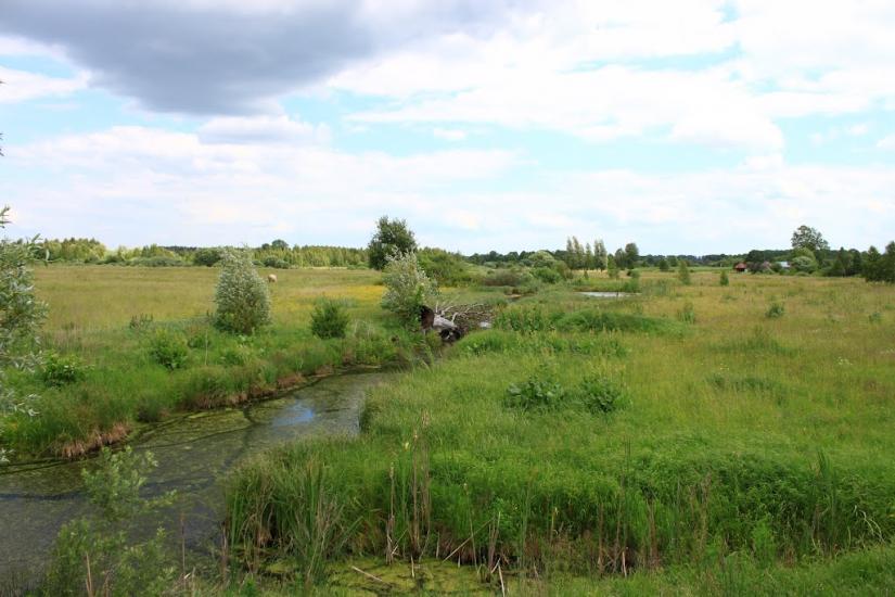 Пилипівка з panoramio.com - Пилипівка