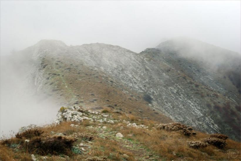 Міжріччя з panoramio.com - Міжріччя