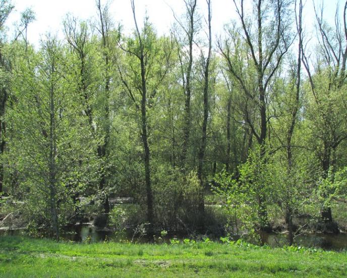 Балаклія з panoramio.com - Балаклія