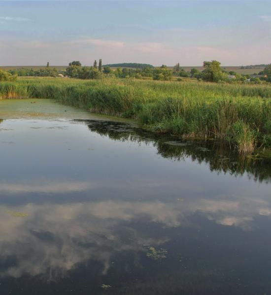 Дмитрівка з panoramio.com - Дмитровка