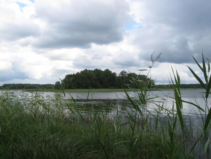 Мельники з panoramio.com - Мельники