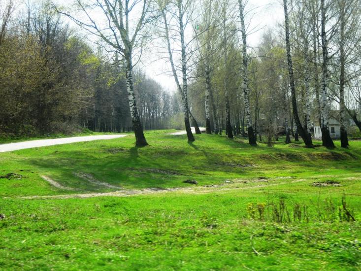 Сальниця з panoramio.com - Сальница