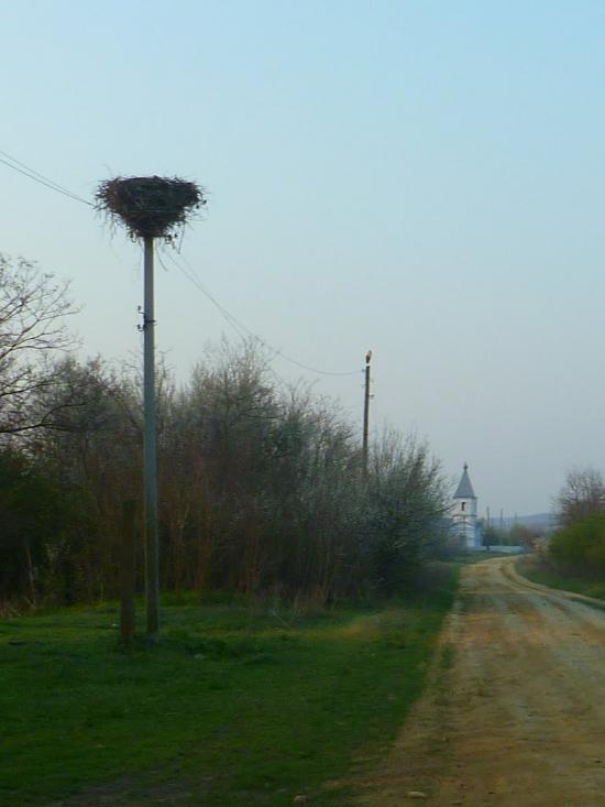 Новосвітівка з panoramio.com - Новосвітівка