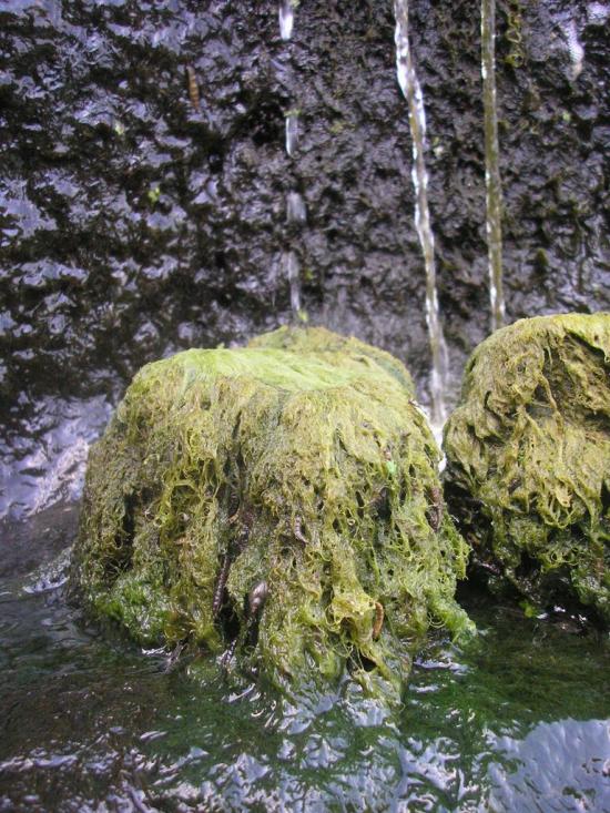 Подимка з panoramio.com - Подимка