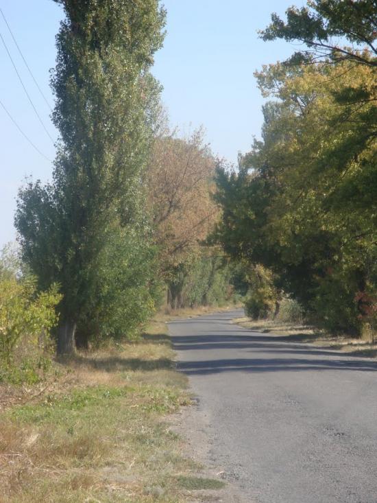 Матроська з panoramio.com - Матросская