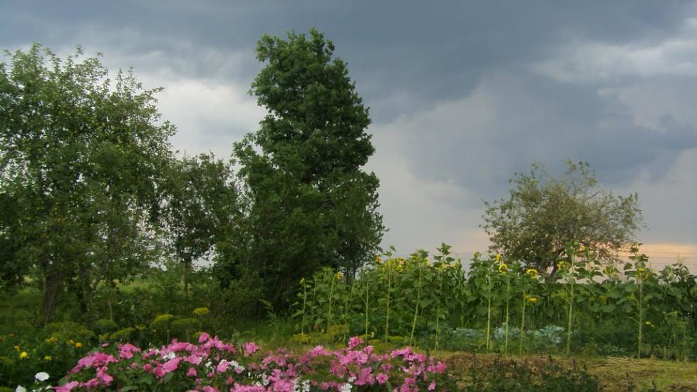 Машеве з panoramio.com - Машево