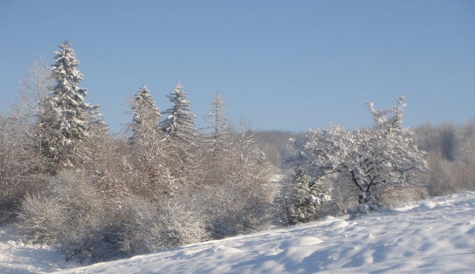 Підмихайля з panoramio.com - Подмихайло
