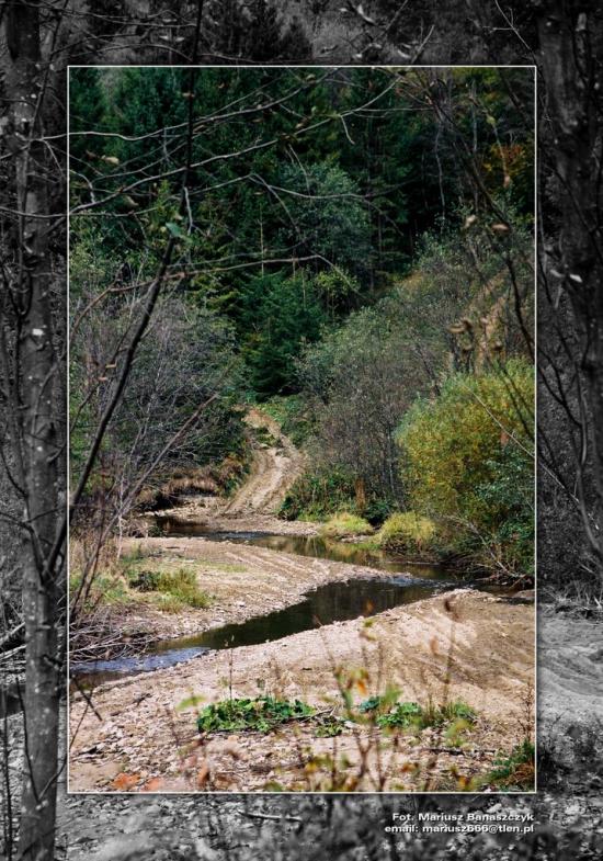 Боберка з panoramio.com - Боберка