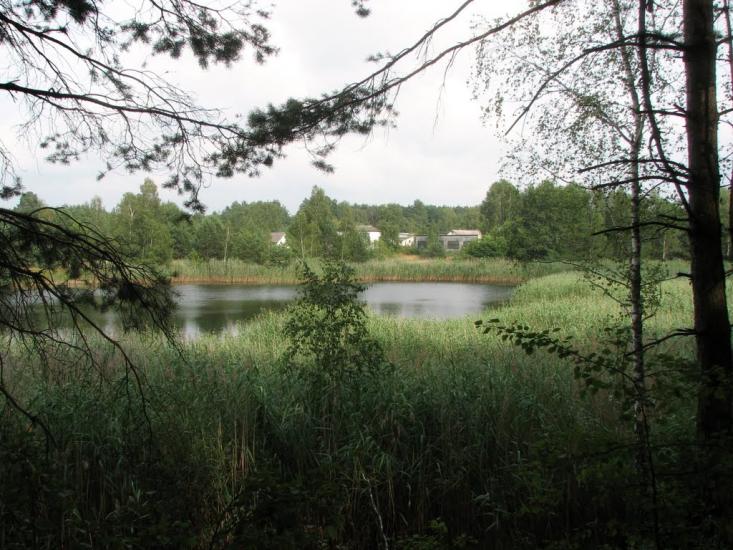 Стригани з panoramio.com - Стриганы