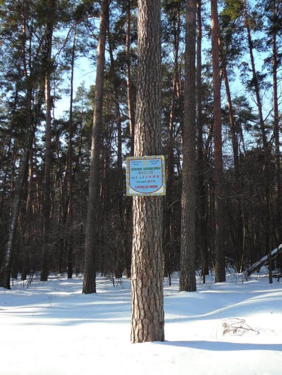 Тростянець з panoramio.com - Тростянец