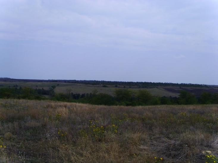 Березівка з panoramio.com - Березовка