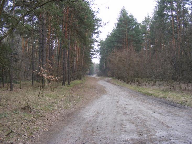 Кузьки з panoramio.com - Кузьки