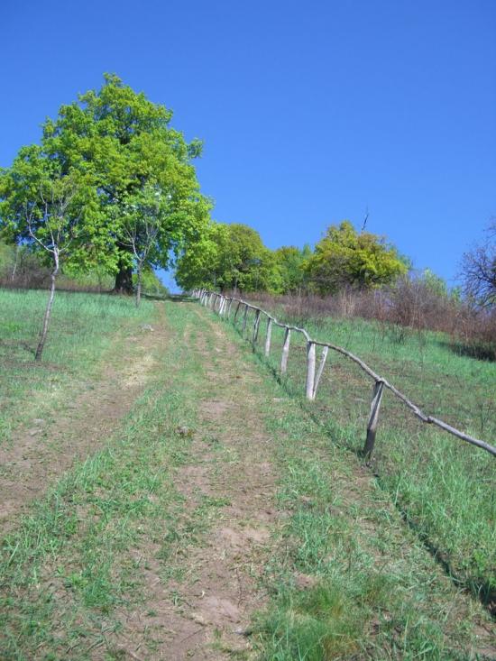 Худльово з panoramio.com - Худлово