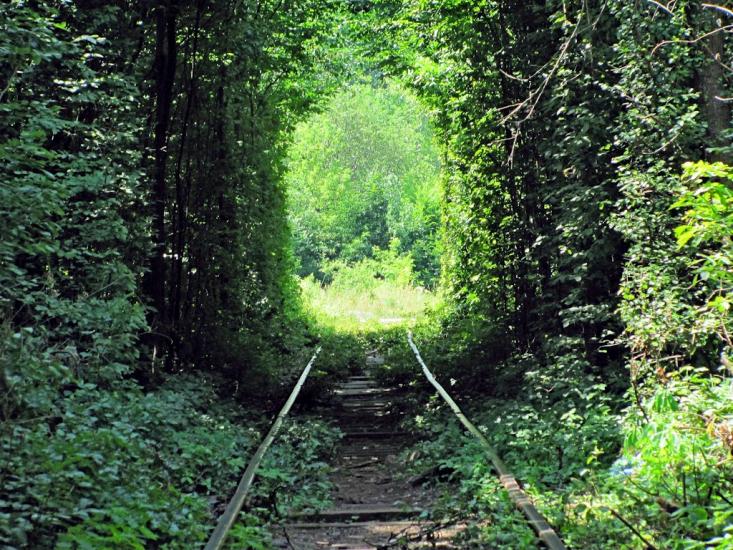 Клевань з panoramio.com - Klevan