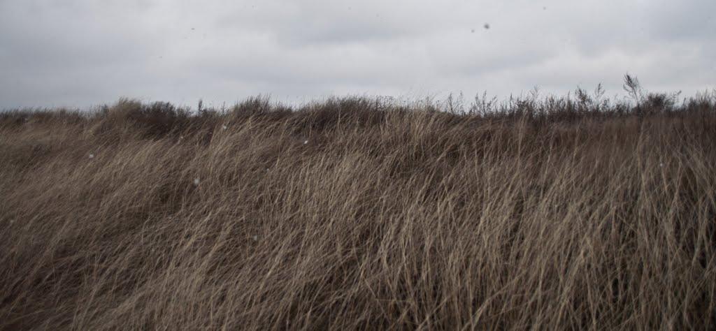 Мала Бугаївка з panoramio.com - Мала Бугаївка