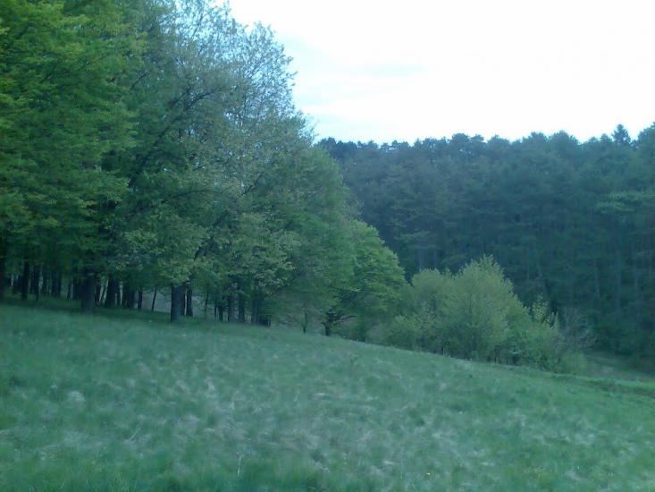 Блищанівка з panoramio.com - Блещановка