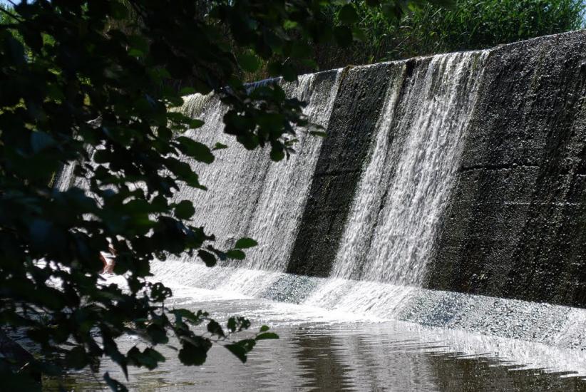 Буки з panoramio.com - Буки