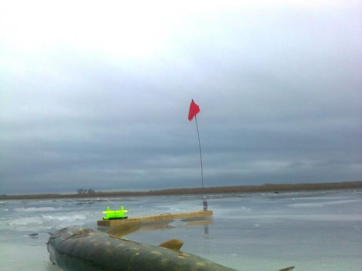 Новопетрівське з panoramio.com - Новопетрівське