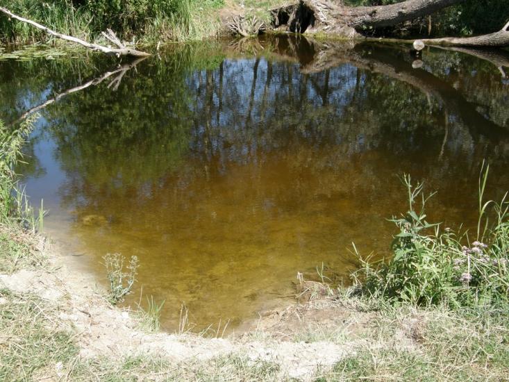 Заріг з panoramio.com - Зарог