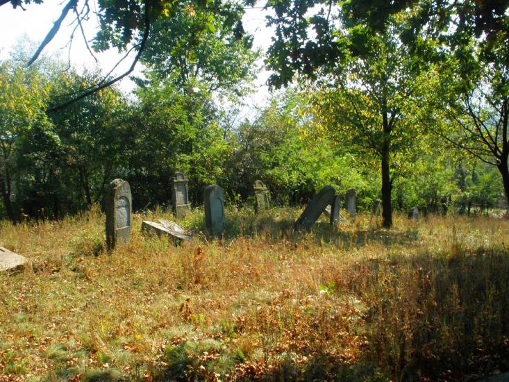Бедевля з panoramio.com - Bedevlya