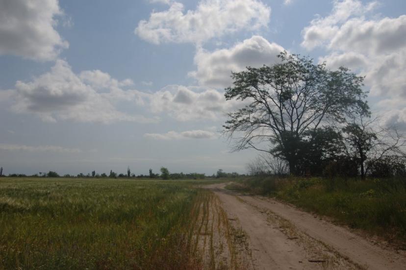 Охрімівка з panoramio.com - Охримовка
