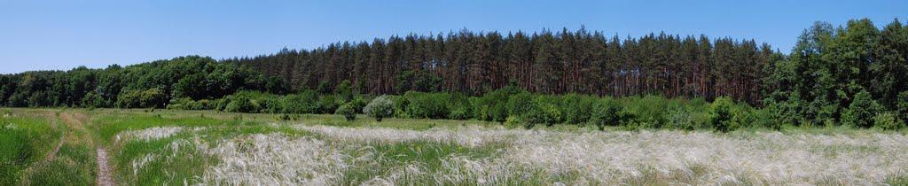 Норцівка з panoramio.com - Норцівка