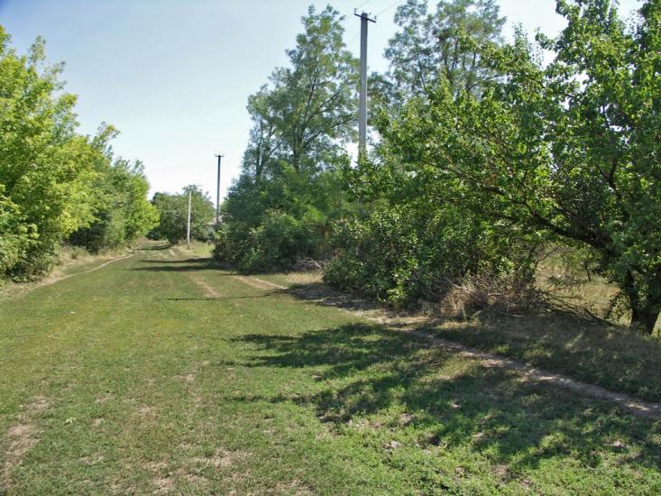 Дмитрівка з panoramio.com - Дмитровка
