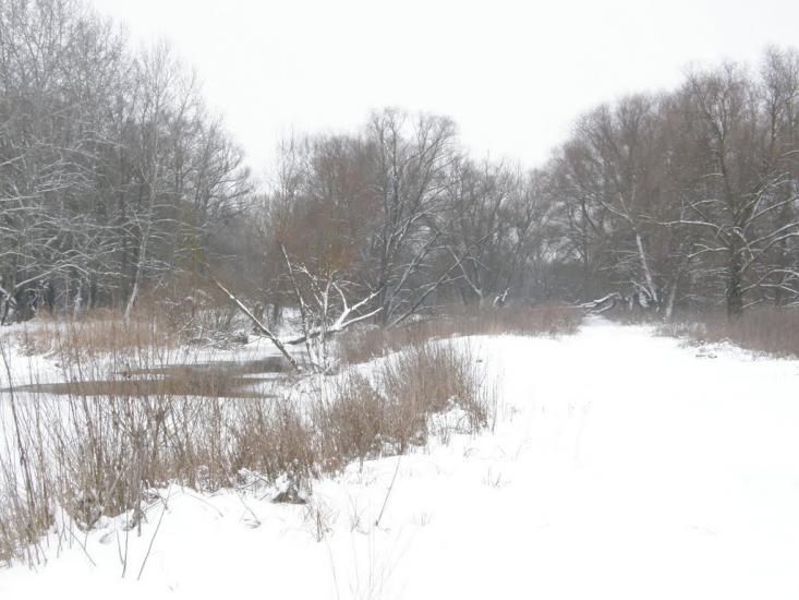 Заріг з panoramio.com - Зарог