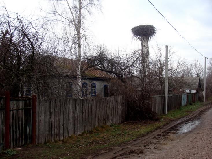 Бірківка з panoramio.com - Бірківка