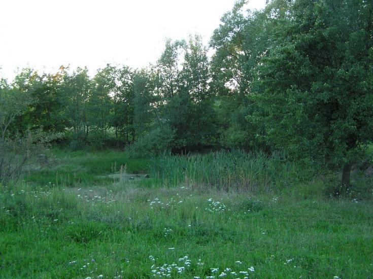 Горщик з panoramio.com - Горщик