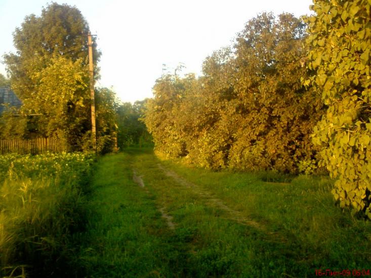 Горпин з panoramio.com - Горпин