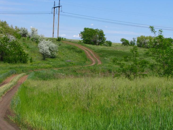 Першотравенськ з panoramio.com - Першотравенск