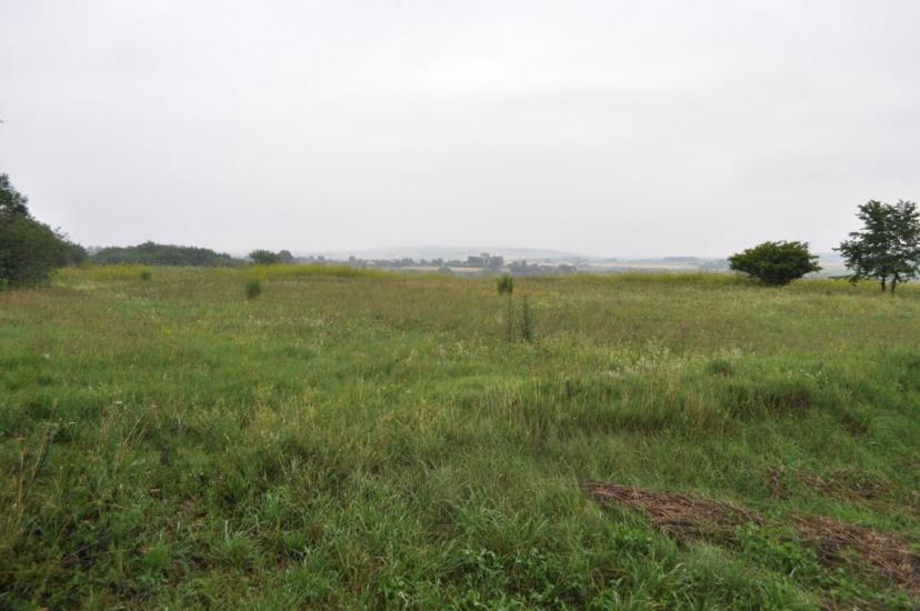 Заріцьк з panoramio.com - Заріцьк