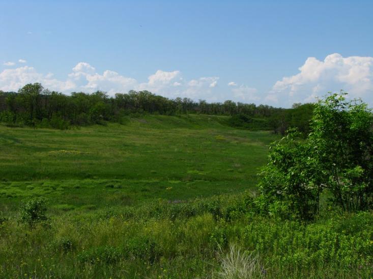Першотравенськ з panoramio.com - Першотравенск