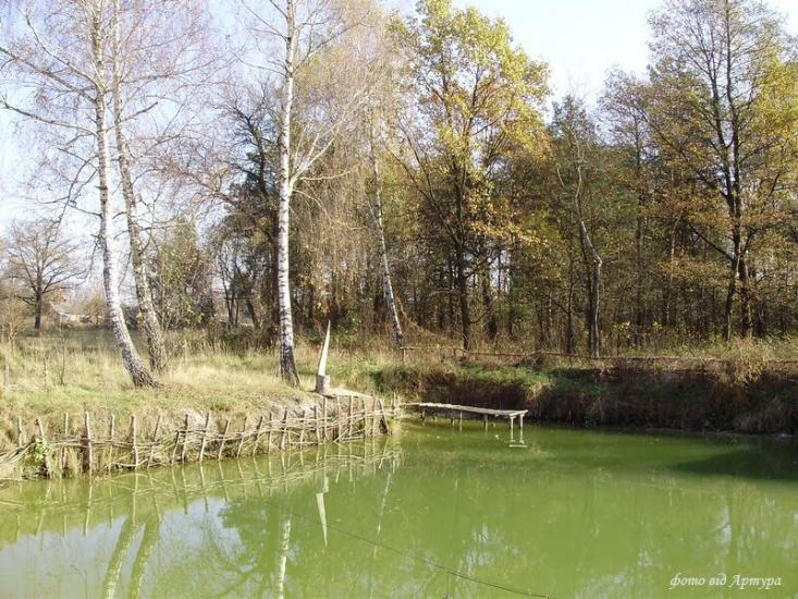 Ліски з panoramio.com - Лески