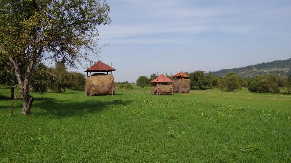 Луг з panoramio.com - Луг
