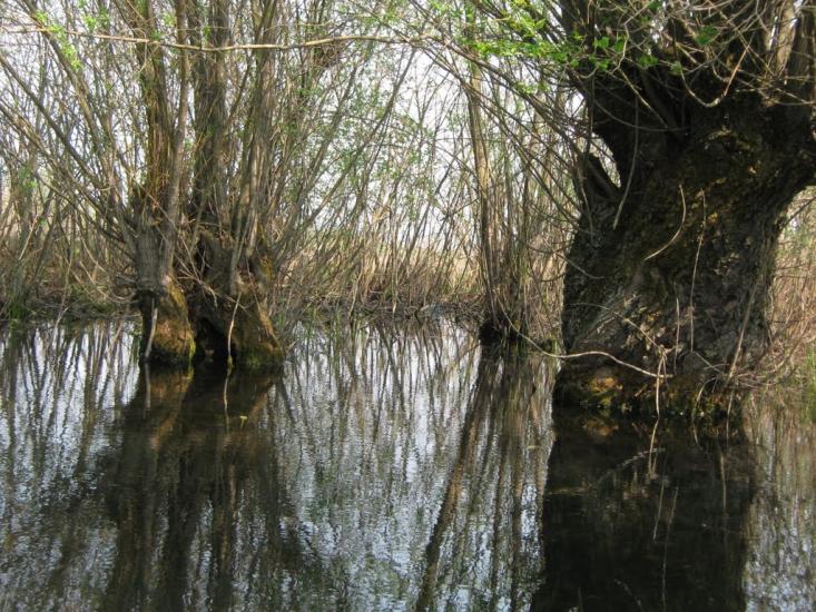 Дебеславці з panoramio.com - Debeslavtsi