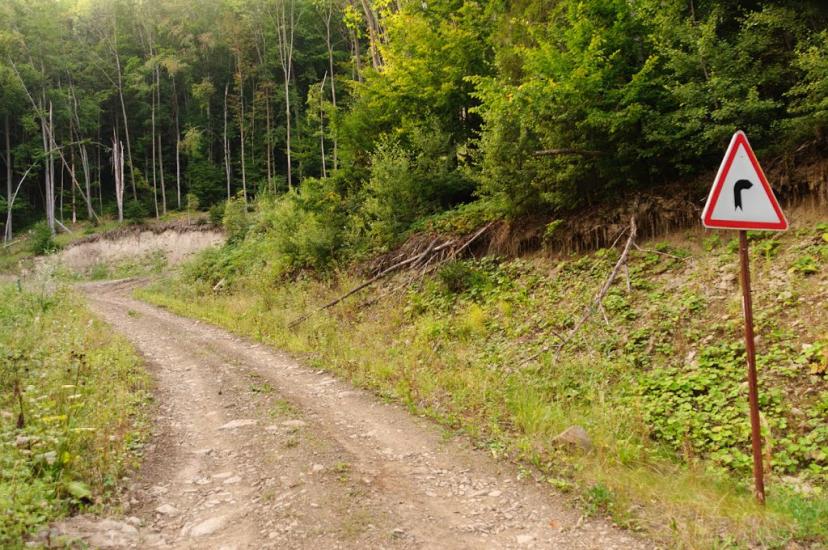 Костринська Розтока з panoramio.com - Костринська Розтока