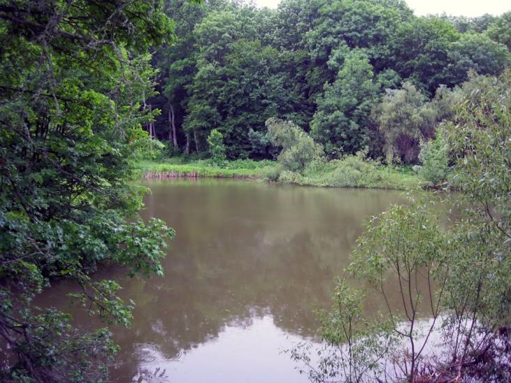 Грушківка з panoramio.com - Грушковка