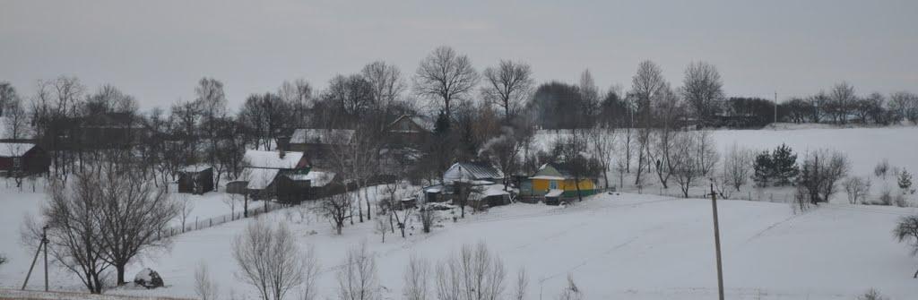 Заріцьк з panoramio.com - Зарецк